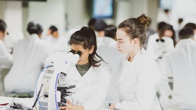 Students in sciences class at the University of Essex