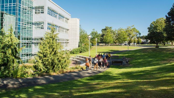 Students walking in the campus yard