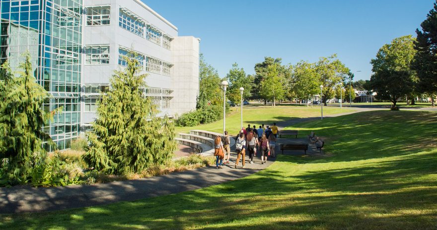 Students walking in the campus yard