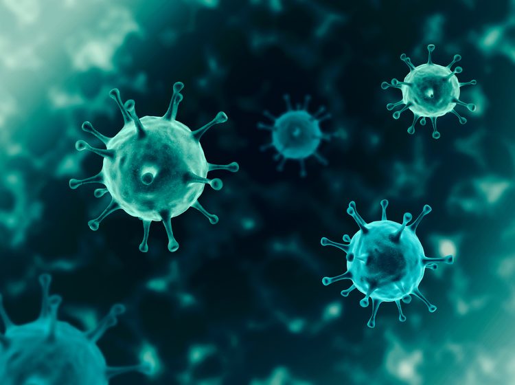 Stock image of coronavirus