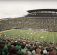 Oregon Duck's football game