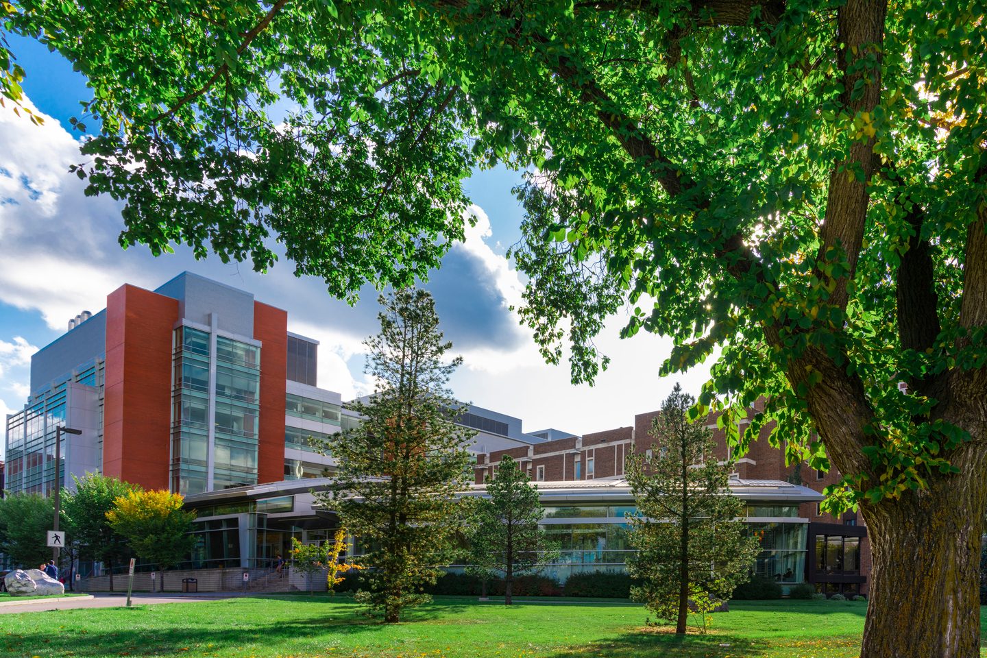 Picture of the CCIS exterior building at the University of Alberta