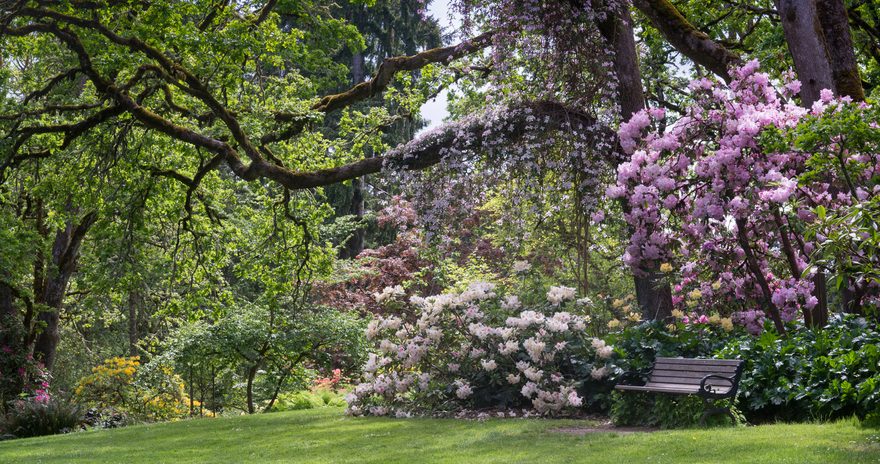 A bench sits on a shaded lawn surrounded by flowers