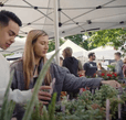 Students looking for plants to buy at a market